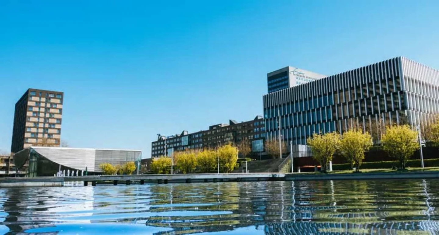 Erasmus University – Rotterdam School of Management (RSM) Banner